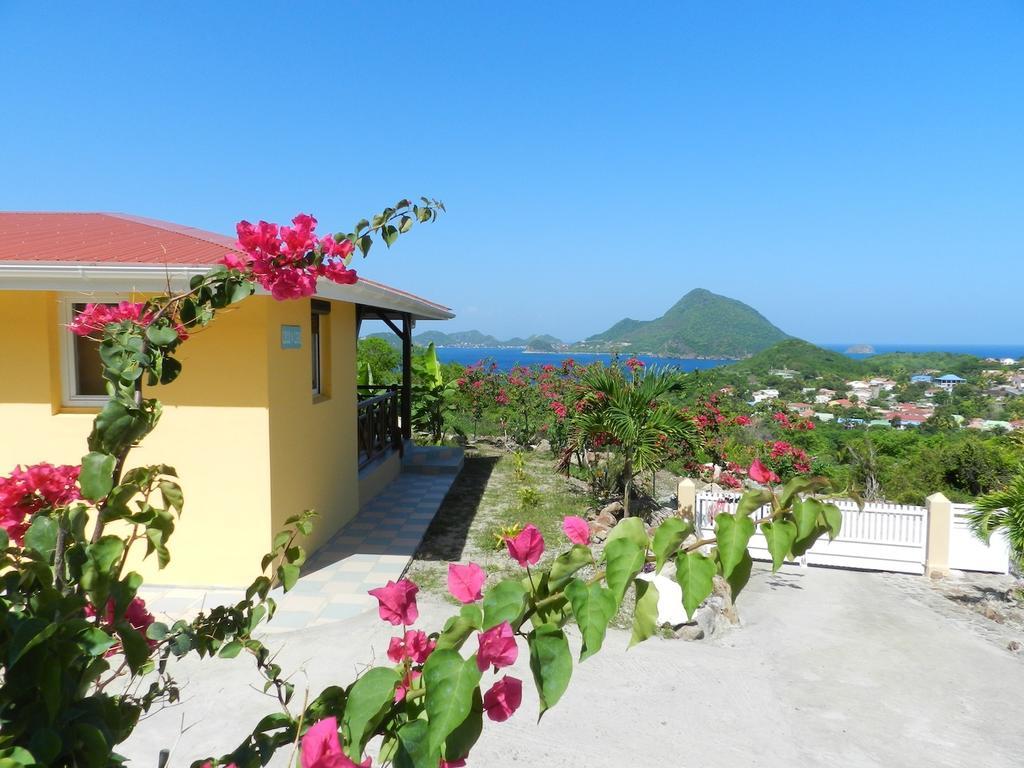 Coco D'Iles Daire Terre-de-Bas Oda fotoğraf