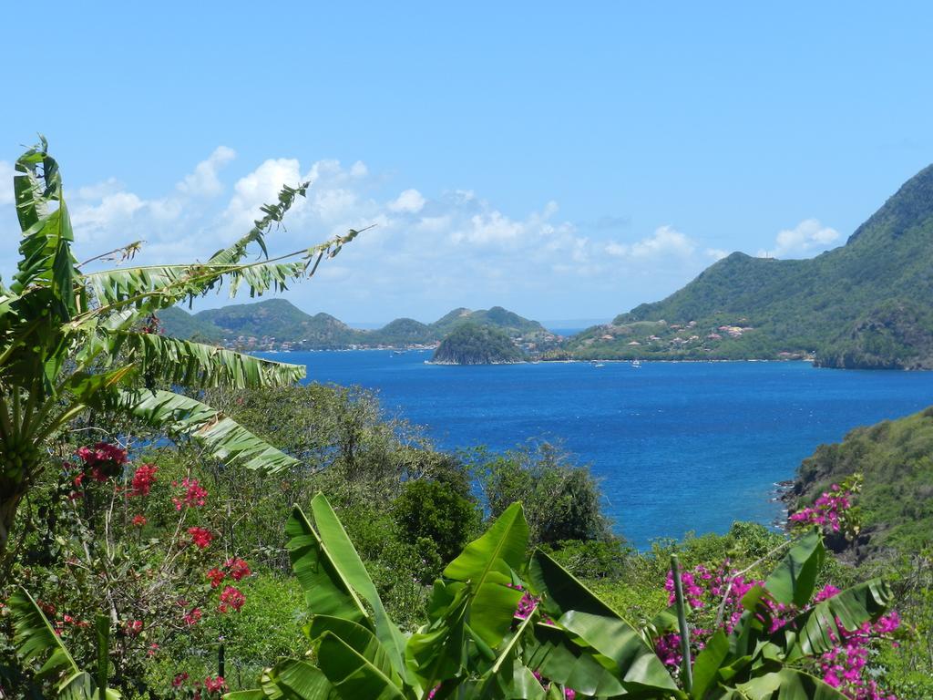 Coco D'Iles Daire Terre-de-Bas Dış mekan fotoğraf
